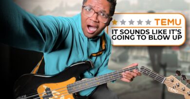 I Tested a TEMU Bass on a PRO Gig