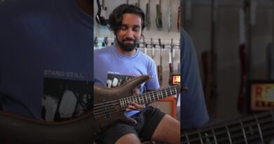 Ibanez 5 String Bass SR5005 Prestige #ibanez #prestige #bassguitar #seinfeld #wenge