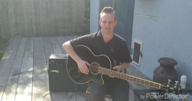 Ibanez Acoustic Bass Review