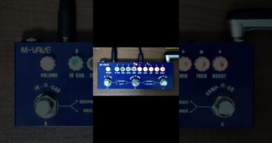 M-Vave Cube Baby Bass (Stock IR Position 3 and 4 Demo) | @M-VAVE