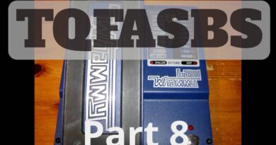 Me and my Bass -  The Quest for a signuature bass tone part 10