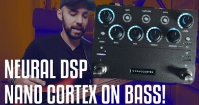 NEURAL DSP NANO CORTEX ON BASS!