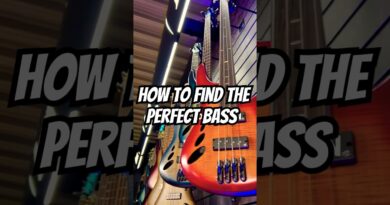 Not Sure Which Bass To Buy First? ????