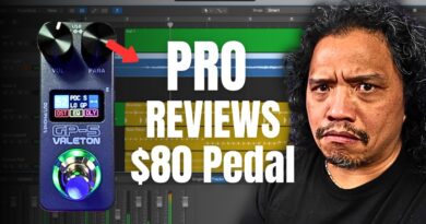 PRO Guitarist Reviews $80 Pedal