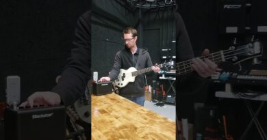 Playing A Small Bass For The First Time (Travel Bass By Carry On) #bassguitar #bassist