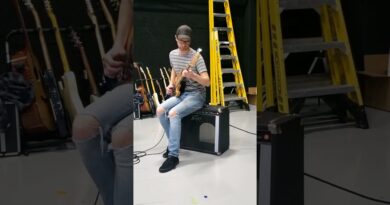 Playing Bass Through A Guitar Amp (Peavey Classic 100 Combo)