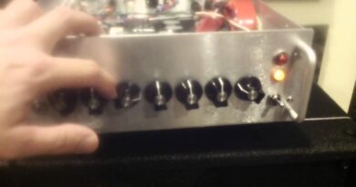 Reiner Amplification Studio 1200 bass amp, proto 210, and Nordstrand dual P five string bass