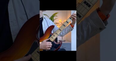 Sire V7 Vintage Slap Bass #shorts #bassguitar #slapbass