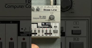 TB-303: The Sound Of Acid Explained