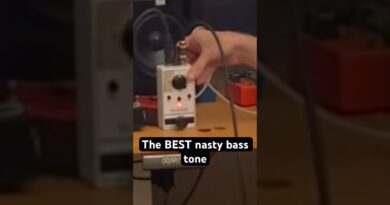 THE best nasty bass tone #peavey #deathfromabove #dfa #f800