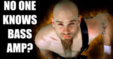 The AMAZING BASS TONE of Queens of the Stoneage Nick Oliveri. Peavey Decade Songs For The Deaf Knows