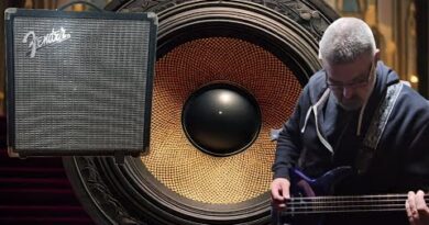 The BEST Beginner Bass Amp. Fender Rumble 15 SOUND DEMO