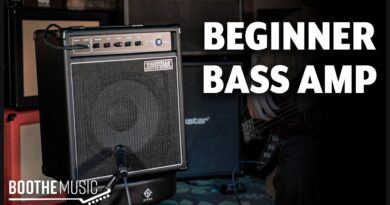 The Best Beginner Bass Amp? - NGW Bass Amp Review!
