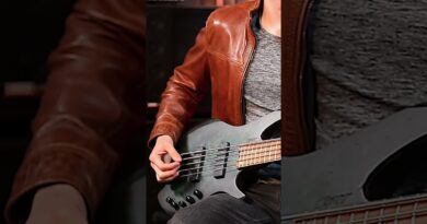 The Headless Space 5 Bass Guitar