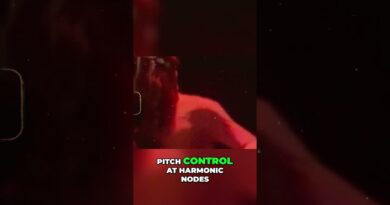 The Man Who Reinvented The Bass Guitar