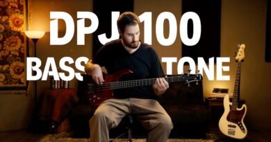 Tone Check, Donner DPJ-100 PJ style Electric Bass Demonstration丨Donner Spotlight