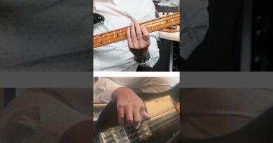 Vintage MusicMan StingRay Bass Tone [Bernard Edwards style]