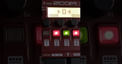 Zoom B1X Four | Tuner (short) #bass #tuner #basstuner #multieffect #multieffects
