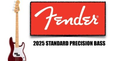 A Blunt Review of the Fender Standard P-Bass