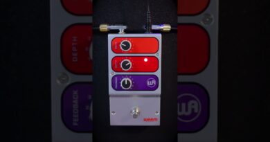 Every bass player NEEDS one! ???? #phaser #warmaudio