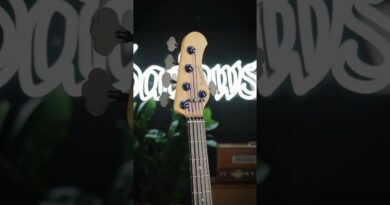 Sadowsky Limited Edition 2025 MetroLine - Modern 5-String Bass