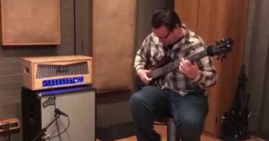 Siegmund Big Boy 300 Watt Guitar Tube Amp ultra linear KT120 Demo Review - Part 3