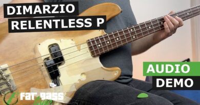 Dimarzio Relentless P Precision Bass® Pickup Set Demo