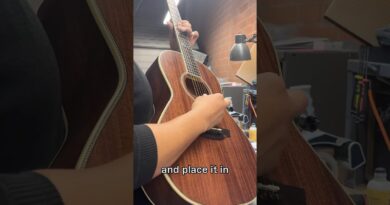 Most UNDERRATED Guitar: Limited Edition Julian Mahogany