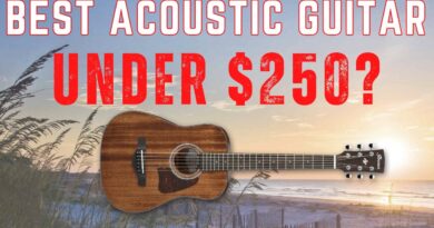 Top Acoustic Guitar under $250 with Solid Top! Ibanez AW54 Review