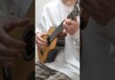 World’s smallest classical guitar